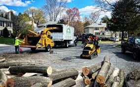 Best Stump Grinding and Removal  in Coal Valley, IL